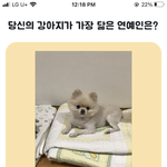 울 강아지 닮은 연예인 ㅋㅋㅋㅋㅋ