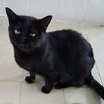 야 나 개멍<b>청해</b>보이는거 아는데 결정을 못하겟음 도외줘