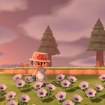 내 <b>동숲</b> 사진 분위기오져 보여줄까