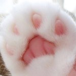 너희 성격 타이틀 <b>다섯</b> 개로 얘기해 봐