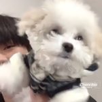 [NCT] 대<b>갈이</b>도 영통팬싸 했었나요???