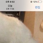 우리집 강아지 눈 먹는데 ㄱㅊ은거임;;?
