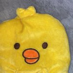 [NCT즌] 얘들아 이거 지성이같지..