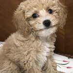[NCT즌] <b>어제</b> 몬드 사진 올려주기로 했는데 까먹어서...