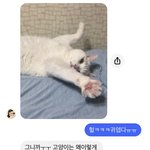 <b>이루</b>다 구라치네;;;;