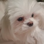 [19] 19 여 <b>얼</b><b>평</b>좀 ㅃㄹ5분후에내림