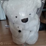 [19] 대형곰인형 이거 사구싶른데 <b>번장</b> 오바???