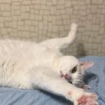 인셍... <b>star</b>거 ㅇr Lㅑ...