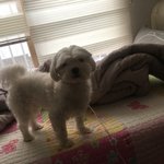 아니 전나웃기내 >아..<b>상태</b><라고 <b>한</b> 건데