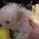 [NCT즌] 나 강<b>쥐들</b> 이런거 환장해