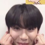 [NCT즌] <b>강쥐</b>가 계속 너무 빠르게 잘생겨져서