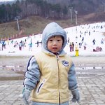 판녀들의 손자 엥시리 박지성 짤털함!!