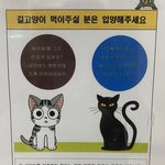 길고양이 먹이줄거면 <b>입양</b>하라는 아파트 공고문