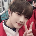 내 멍멍이 <b>말</b><b>티쥬</b> 곰돌이