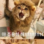 [모두드루와] 엔하이픈 <b>제이</b> 성격한짤로 요약한다...