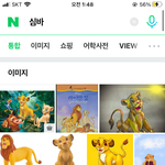 <b>심바</b>가 뭔데