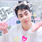 [EXO] 마법의 <b>소라</b>고동이었나 이게??