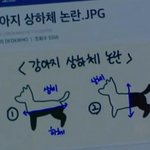 [추반] 강아지 상<b>하체</b> 논란 우리도 해보자!