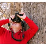 [알래스카] 알래스카" 뒷발이 앞발을 쫓아 오지 못한다"