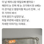 [NCT즌] 해찬 태일 목격담 개귀여움