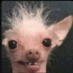 학교에 민트색 목<b>더리</b> 하고 가면 ㅇㄸ