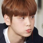 [TXT] 찹쌀<b>도너츠</b> 갈발 통통 수빈 짤털이