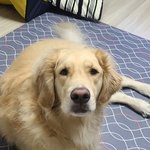 택배기사님과 경태사연을 지금에서야 접했네요..ㅠ