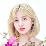 [댓글부탁해] 트와 지효가 왜 완전체 지지하는지 이제 알겠네