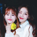 나만 쿠팡 <b>배송</b> 늦게오냐
