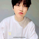 <b>보컬춤</b> 전부 만렙인 말티즈를 자랑합니다