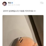 <b>입양</b>사기당한 아이돌