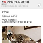 [추반] 자격증 딸 거 추반좀