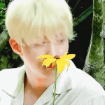 [펜타곤] 울타곤x꽃 <b>조합</b>