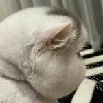 [방탄소년단] <b>지민</b>이 오늘 목격사진 뜬거 봄???