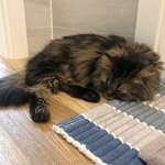 [펜타곤] 유니들 펜타곤이 키우는