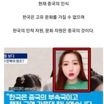 [드루와] 요즘 짱<b>개들</b>이 가지고 있는 한국인식이래