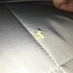 아 오랜만에 귀팠는데 더 <b>찝찝</b>해 ㅅㅂ