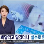 [댓글부탁해] ‼️병원 실수로 강아지가 안락사 당했대‼️