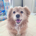 진심으로 행복하게 해주고 싶습니다..!!!!!