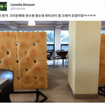 고등학교 들어가기전에 <b>선행</b>해야할거 뭐있음?