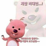 [댓글부탁해] <b>로아</b>큐탄 먹어본사람