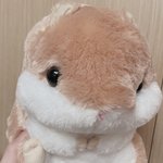 [댓글부탁해] 6만5천원 뮤지컬 <b>사치</b>일까...??...