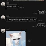 <b>이루</b>다 고양이(드림이)도 챗봇 있는거 알아?
