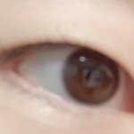 [댓글부탁해] 이거 <b>속</b><b>쌍</b>이야 무<b>쌍</b>이야?