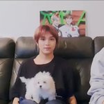 [NCT] 대<b>갈이</b>는 전생에 뭘했길래ㅠ