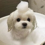 [댓글부탁해] 너넨 권태기 오면 어떻게 해