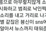 알페스 <b>팩트</b> ㅋㅋ