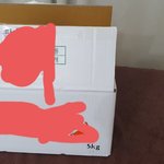 [댓글부탁해] 진짜...<b>악덕업체</b> 너무 억울해서 글씁니다..살아갈...