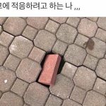 얘들아 찐 <b>덕질</b>은 원래 이런거냐