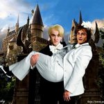 <b>심바</b>는 보세요